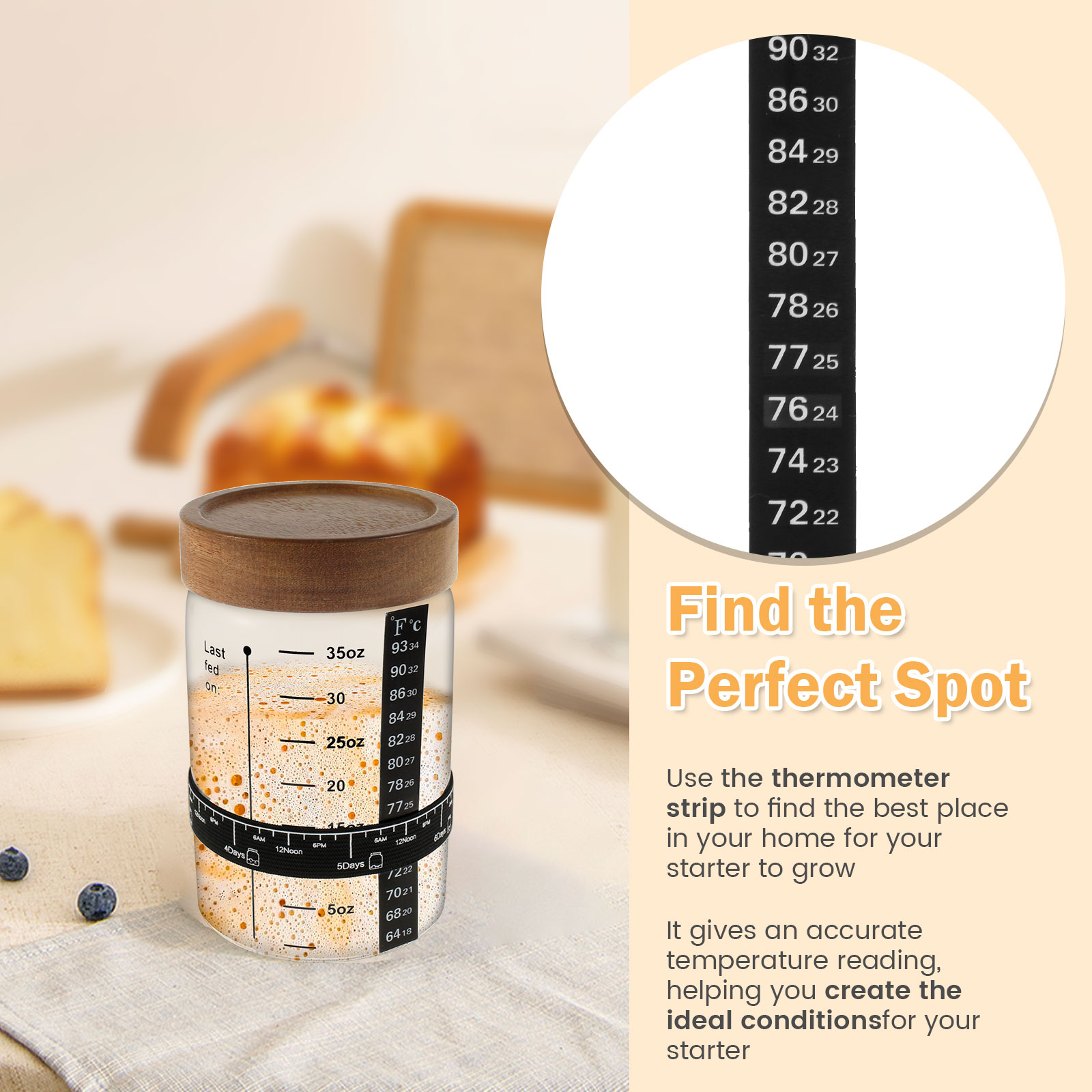 Sourdough toples pemula 1000ml - Kitchen Baking Kit ulasan dan harga